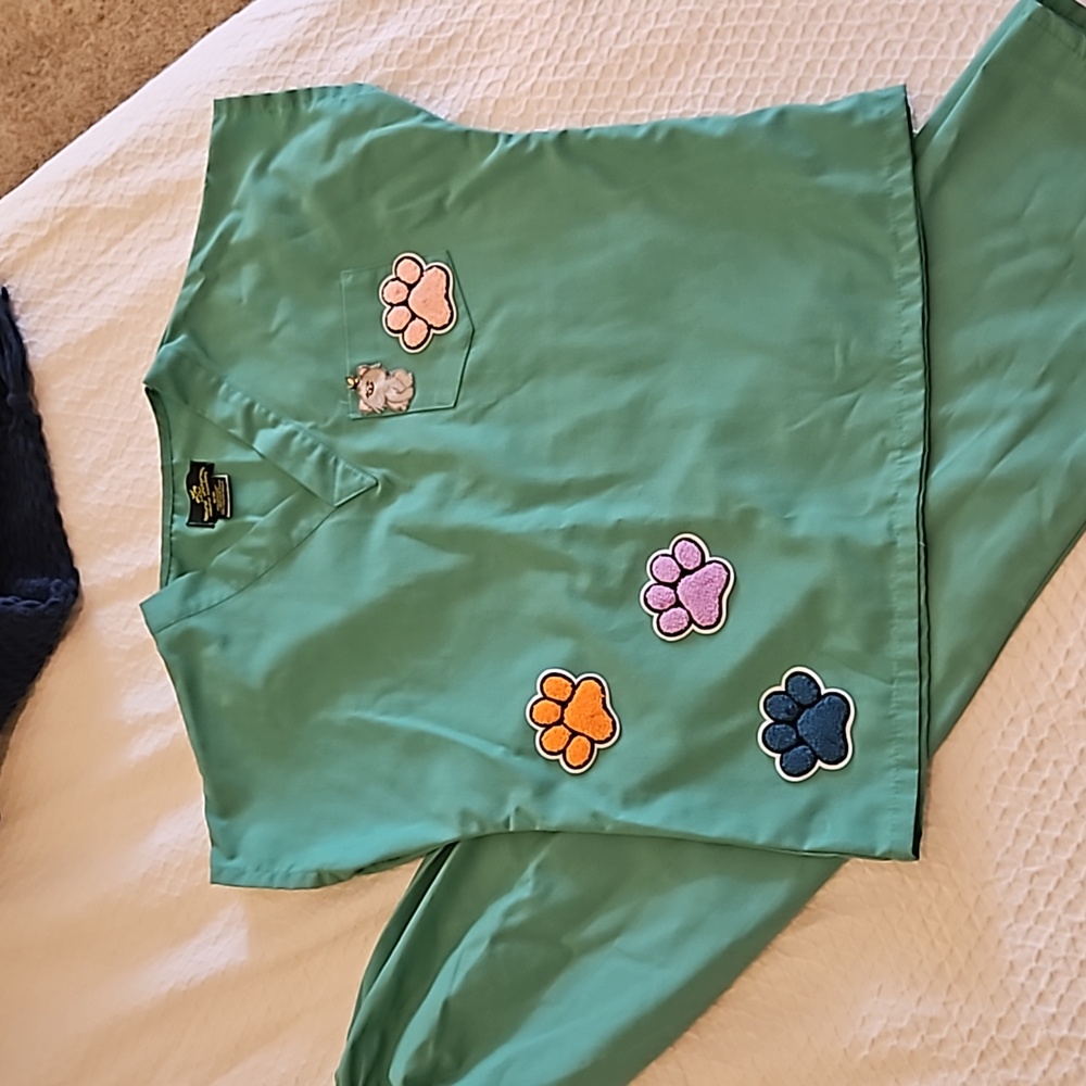 Veterinarian costume/scrubs